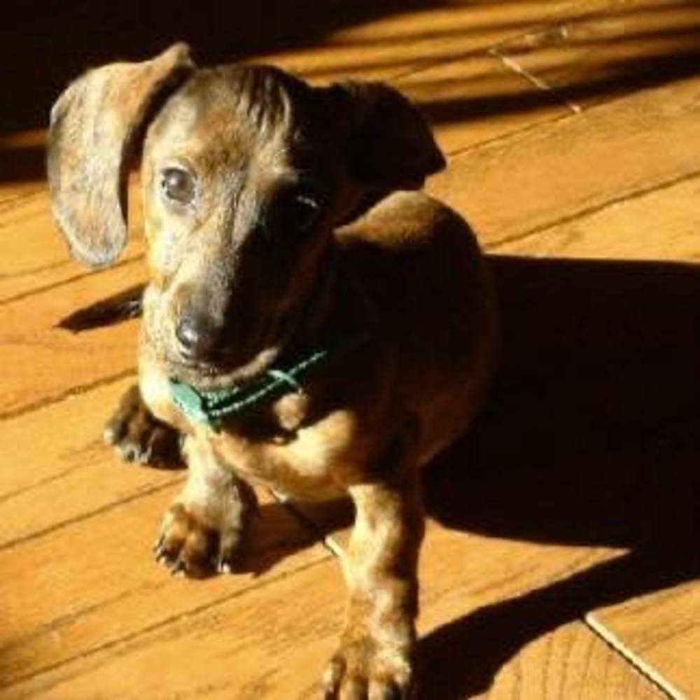 Meet your Posher, Colleen